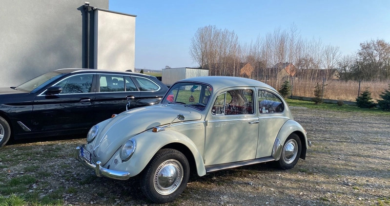 Volkswagen Garbus cena 42000 przebieg: 37500, rok produkcji 1964 z Uniejów małe 254